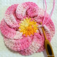 Flor bergamota passo a passo - www.croche.com (39)