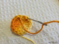 Flor bergamota passo a passo - www.croche.com (5)