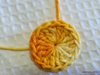 Flor bergamota passo a passo - www.croche.com (6)