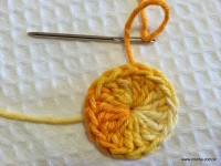 Flor bergamota passo a passo - www.croche.com (7)