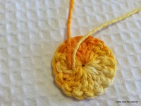 Flor bergamota passo a passo - www.croche.com (8)