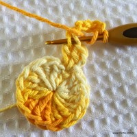 Flor bico de papagaio passo a passo - www.croche.com (10)