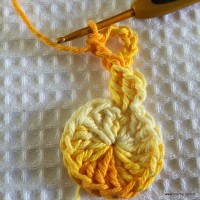 Flor bico de papagaio passo a passo - www.croche.com (11)