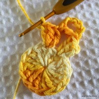 Flor bico de papagaio passo a passo - www.croche.com (12)