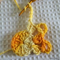 Flor bico de papagaio passo a passo - www.croche.com (13)