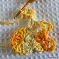 Flor bico de papagaio passo a passo - www.croche.com (14)