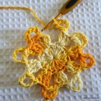 Flor bico de papagaio passo a passo - www.croche.com (15)