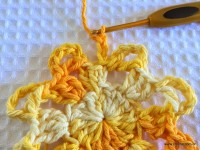 Flor bico de papagaio passo a passo - www.croche.com (16)