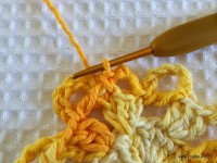 Flor bico de papagaio passo a passo - www.croche.com (17)