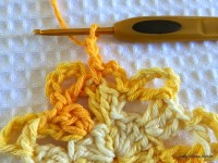 Flor bico de papagaio passo a passo - www.croche.com (18)