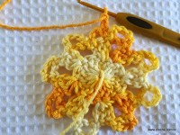 Flor bico de papagaio passo a passo - www.croche.com (19)
