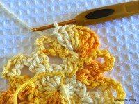 Flor bico de papagaio passo a passo - www.croche.com (20)