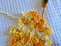 Flor bico de papagaio passo a passo - www.croche.com (21)