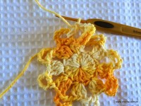 Flor bico de papagaio passo a passo - www.croche.com (22)