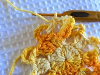 Flor bico de papagaio passo a passo - www.croche.com (23)