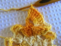 Flor bico de papagaio passo a passo - www.croche.com (24)