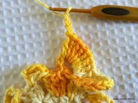 Flor bico de papagaio passo a passo - www.croche.com (25)