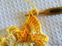 Flor bico de papagaio passo a passo - www.croche.com (26)