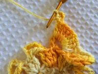 Flor bico de papagaio passo a passo - www.croche.com (27)