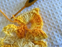 Flor bico de papagaio passo a passo - www.croche.com (28)