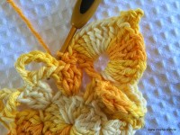 Flor bico de papagaio passo a passo - www.croche.com (29)