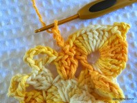 Flor bico de papagaio passo a passo - www.croche.com (30)