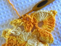 Flor bico de papagaio passo a passo - www.croche.com (31)