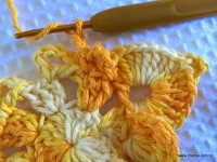 Flor bico de papagaio passo a passo - www.croche.com (32)