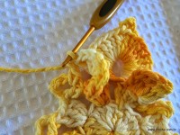 Flor bico de papagaio passo a passo - www.croche.com (34)