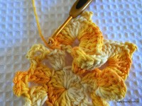 Flor bico de papagaio passo a passo - www.croche.com (35)