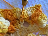 Flor bico de papagaio passo a passo - www.croche.com (36)