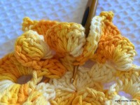 Flor bico de papagaio passo a passo - www.croche.com (38)