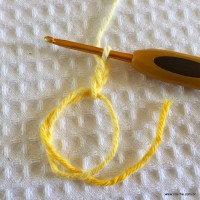 Flor bico de papagaio passo a passo - www.croche.com (4)