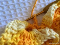 Flor bico de papagaio passo a passo - www.croche.com (40)