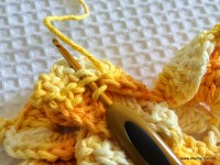 Flor bico de papagaio passo a passo - www.croche.com (42)