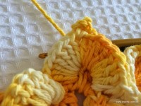 Flor bico de papagaio passo a passo - www.croche.com (43)