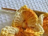 Flor bico de papagaio passo a passo - www.croche.com (44)