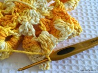 Flor bico de papagaio passo a passo - www.croche.com (45)