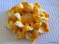 Flor bico de papagaio passo a passo - www.croche.com (48)