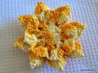 Flor bico de papagaio passo a passo - www.croche.com (49)