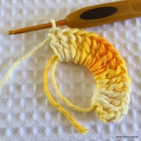 Flor bico de papagaio passo a passo - www.croche.com (5)