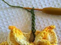 Flor bico de papagaio passo a passo - www.croche.com (51)