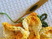 Flor bico de papagaio passo a passo - www.croche.com (56)