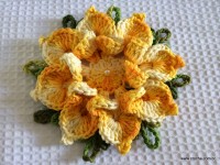 Flor bico de papagaio passo a passo - www.croche.com (57)