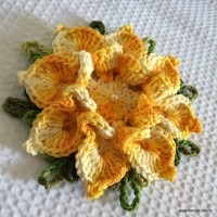 Flor bico de papagaio passo a passo - www.croche.com (58)