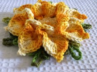 Flor bico de papagaio passo a passo - www.croche.com (59)