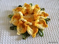 Flor bico de papagaio passo a passo - www.croche.com (60)