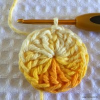 Flor bico de papagaio passo a passo - www.croche.com (6)