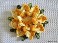 Flor bico de papagaio passo a passo - www.croche.com (62)