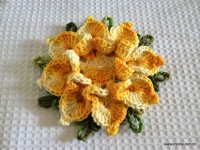 Flor bico de papagaio passo a passo - www.croche.com (63)